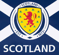 Scottish Football Flag